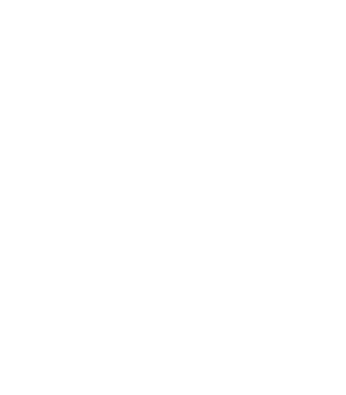 GoPhone Unique